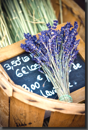 Lavender from Sault